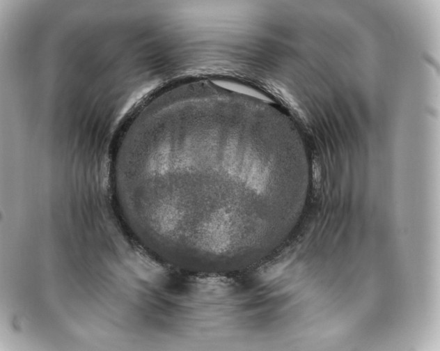 X0000096220396200802011348