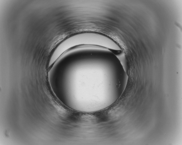 X0000096220397200802011348