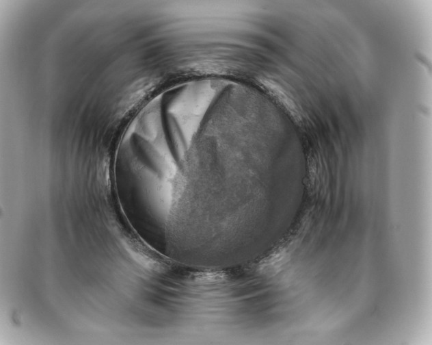 X0000096220398200802011348