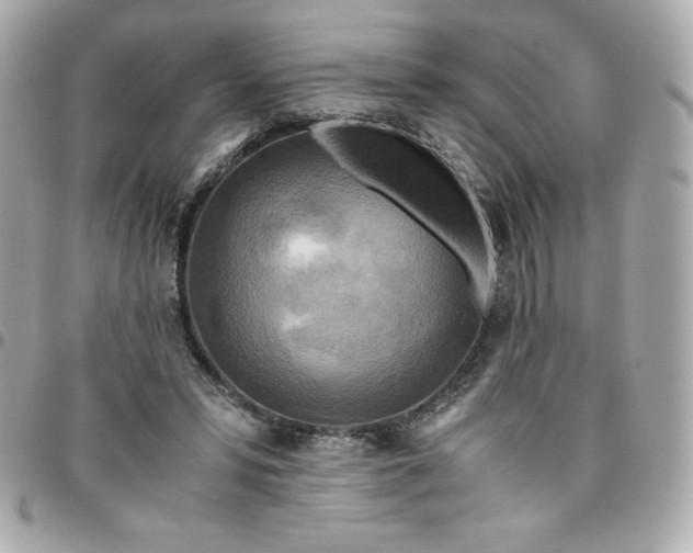 X0000096220399200802011348