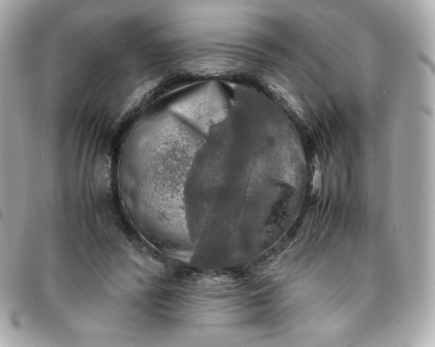 X0000096220400200802011347