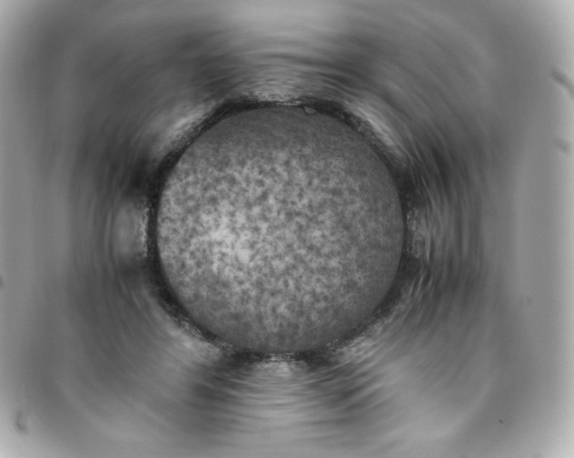 X0000096220404200802011347