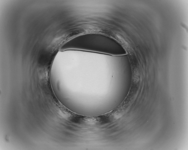 X0000096220405200802011347