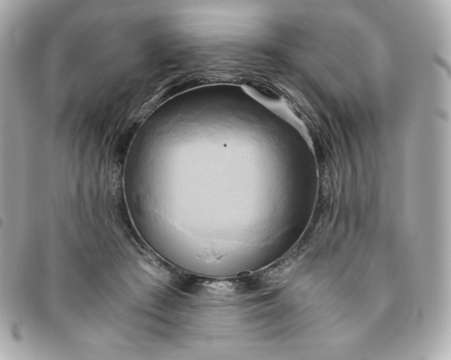 X0000096220409200802011347