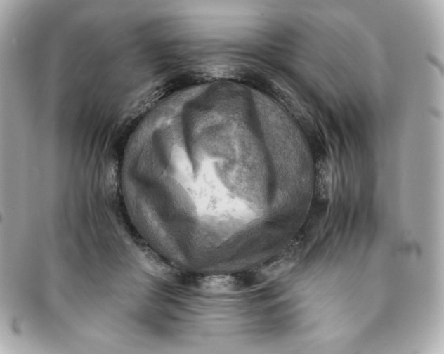 X0000096220410200802011347