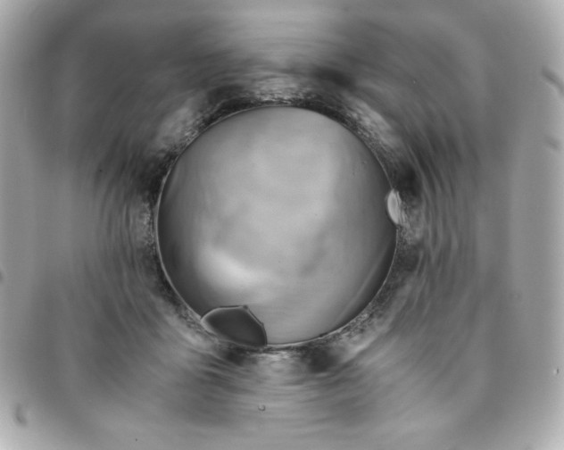 X0000096220411200802011347