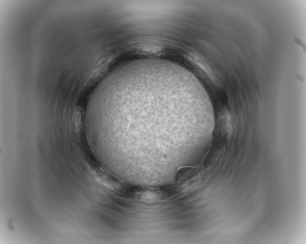 X0000096220412200802011347