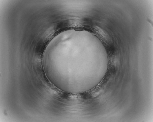 X0000096220415200802011347