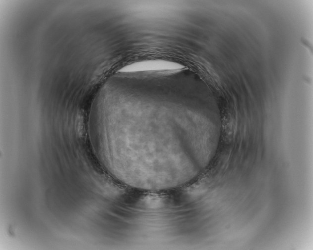 X0000096220416200802011347