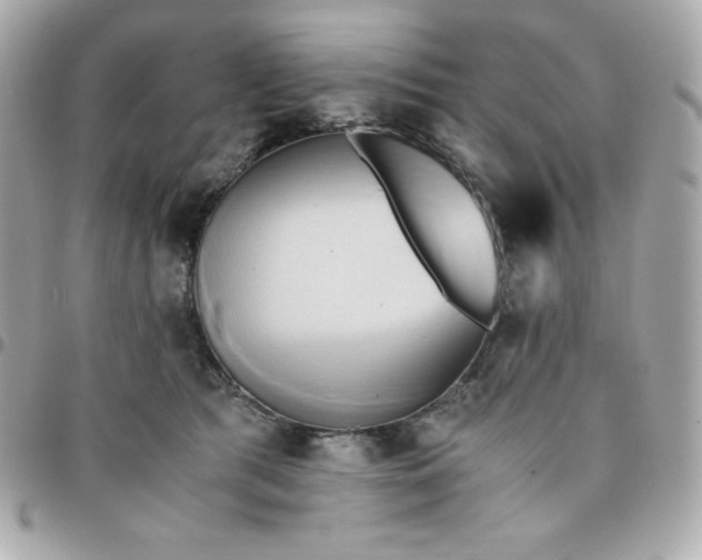 X0000096220417200802011347