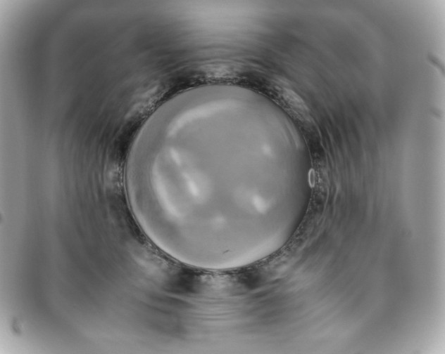 X0000096220419200802011347