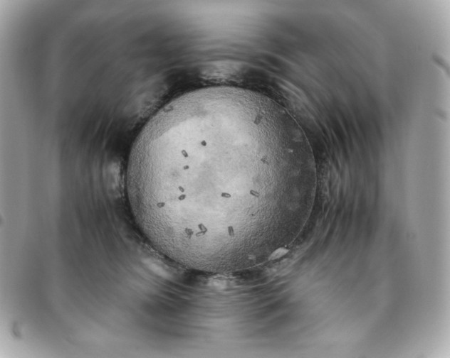 X0000096220420200802011347