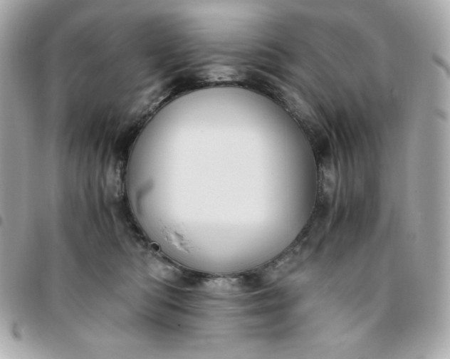 X0000096220422200802011347