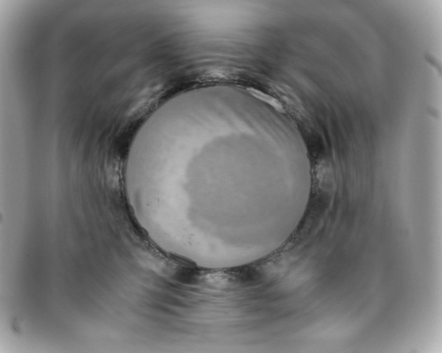 X0000096220423200802011347