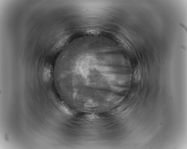 X0000096220424200802011347