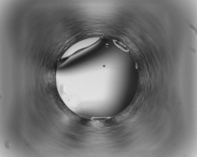 X0000096220425200802011347