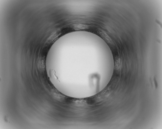 X0000096220426200802011347