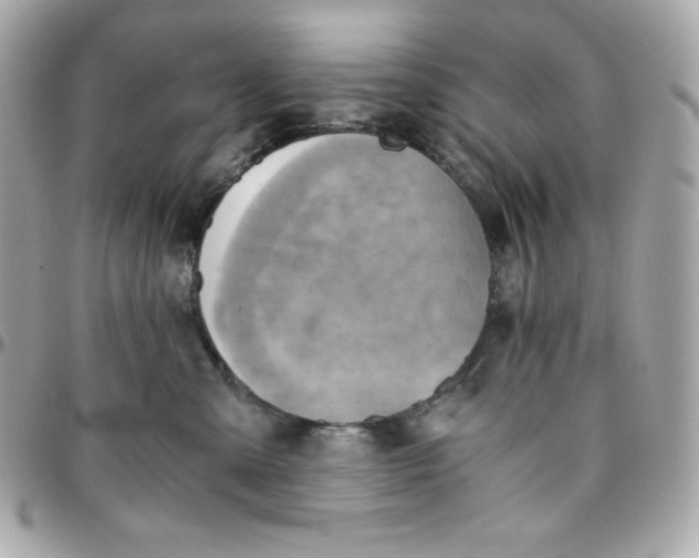 X0000096220427200802011347