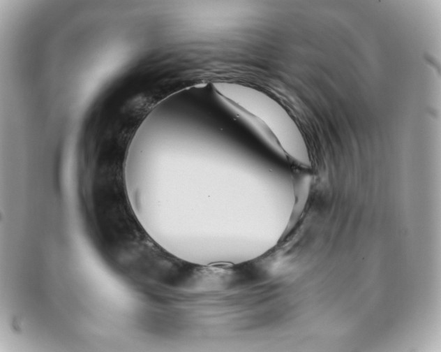 X0000096220429200802011347