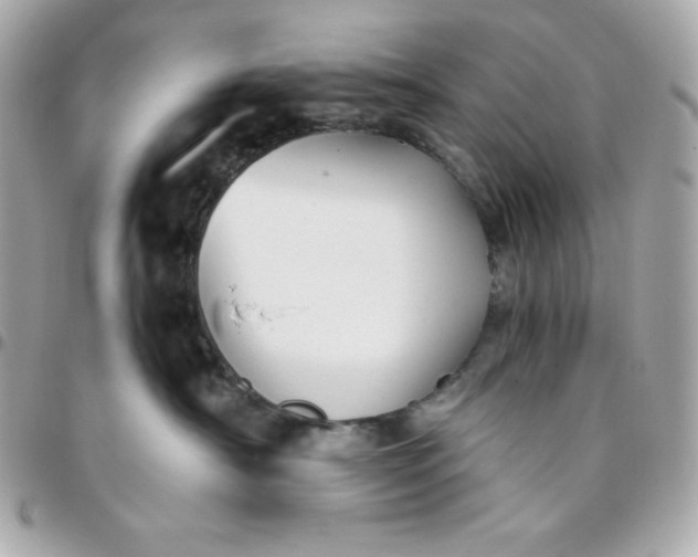 X0000096220430200802011347