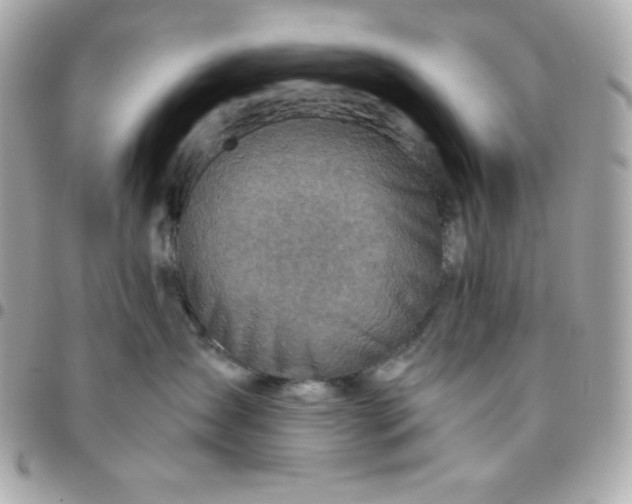 X0000096220431200802011347