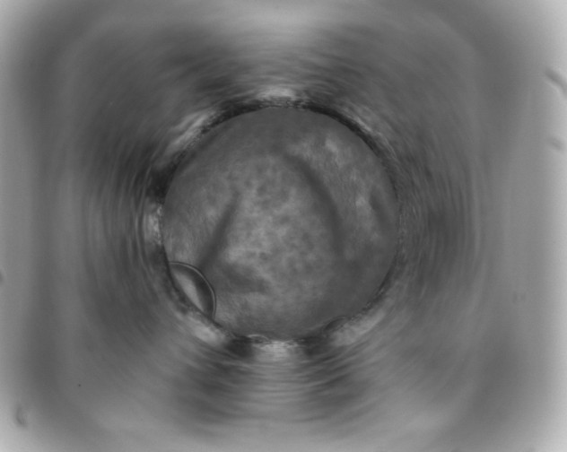 X0000096220432200802011347