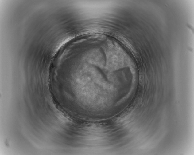 X0000096220434200802011346