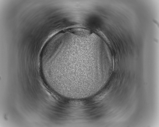 X0000096220435200802011346