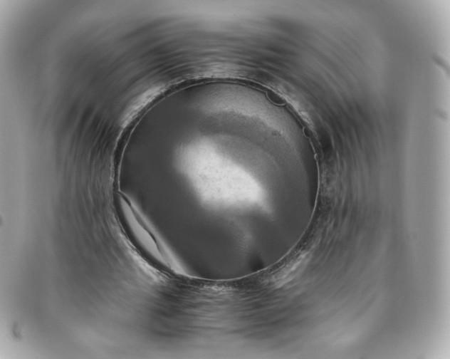 X0000096220437200802011346