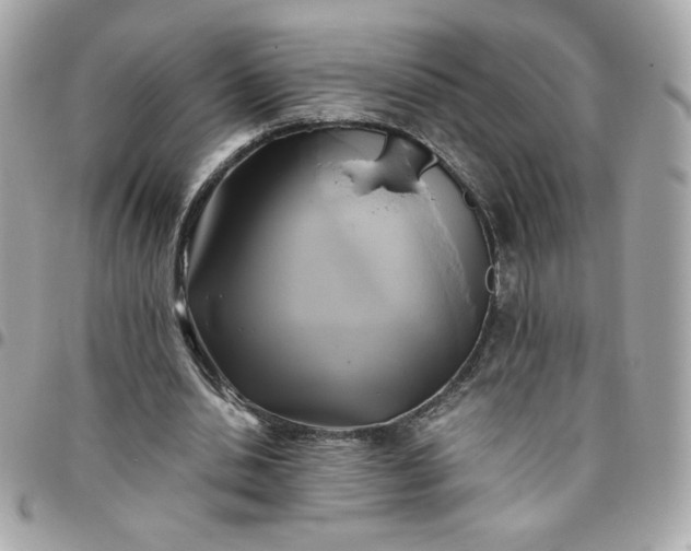 X0000096220438200802011346