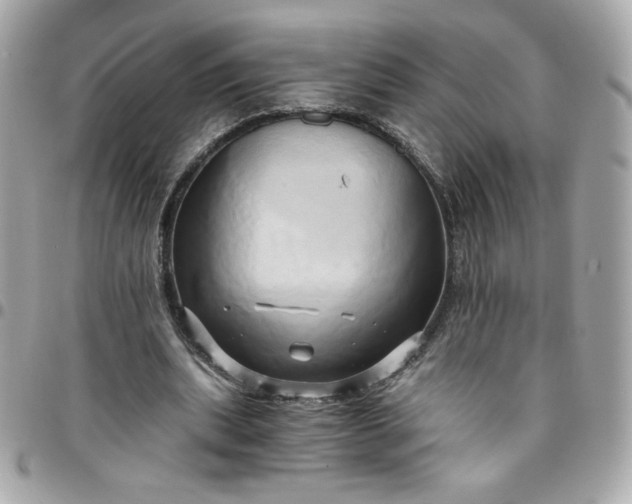 X0000096220439200802011346