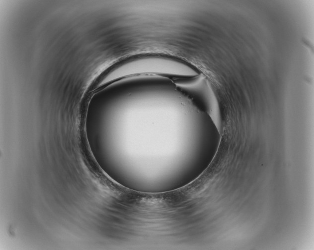 X0000096220440200802011346