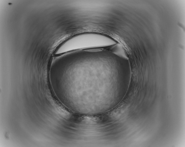 X0000096220442200802011347