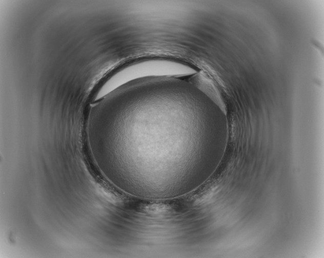 X0000096220444200802011347