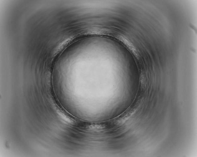 X0000096220445200802011347