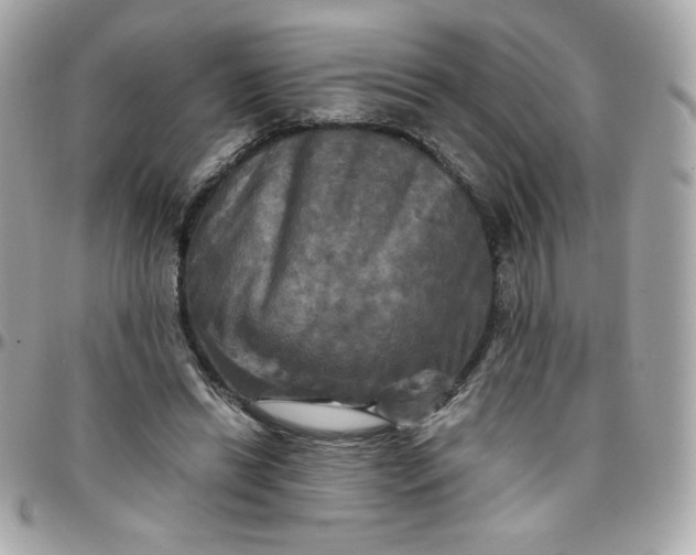 X0000096220446200802011347