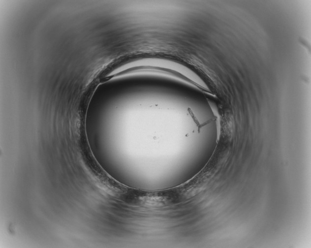 X0000096220448200802011347