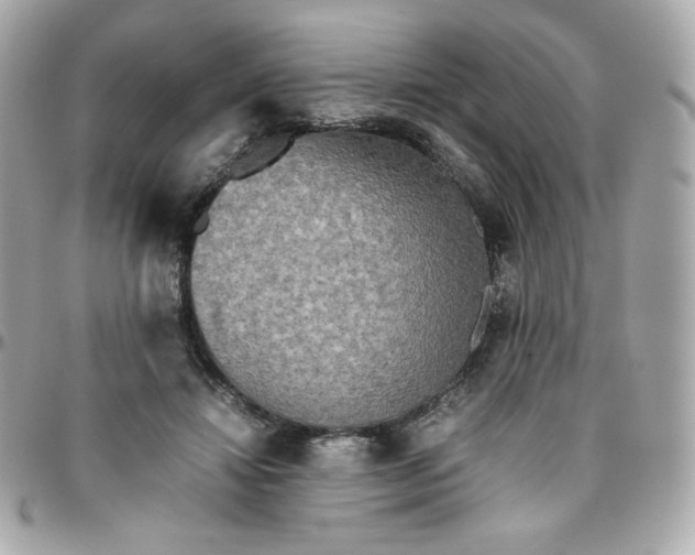 X0000096220452200802011347