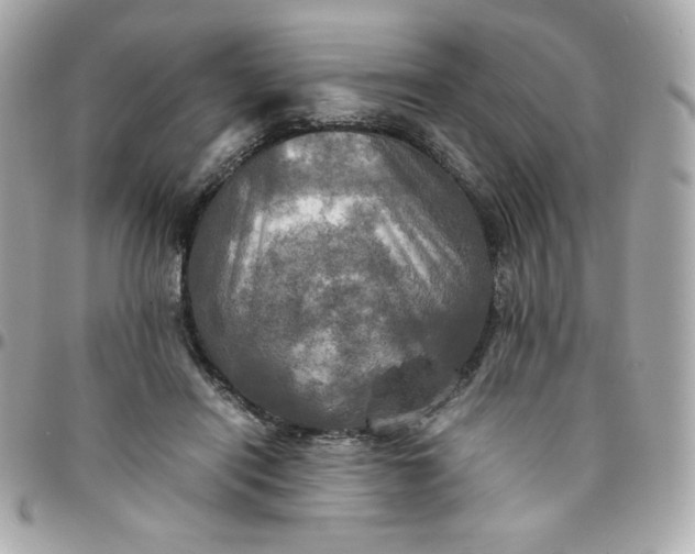 X0000096220454200802011347