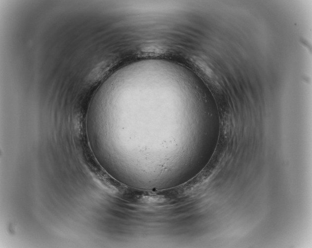 X0000096220455200802011347