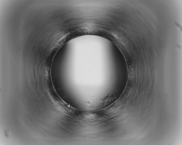 X0000096220456200802011347