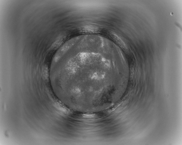 X0000096220457200802011347