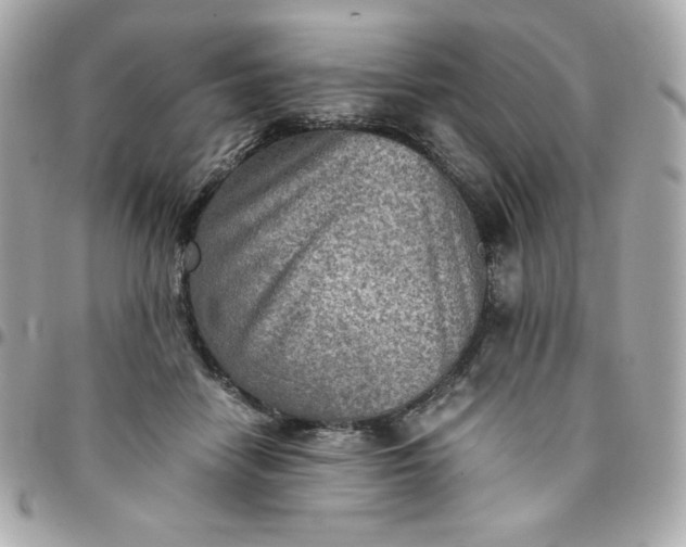 X0000096220458200802011347