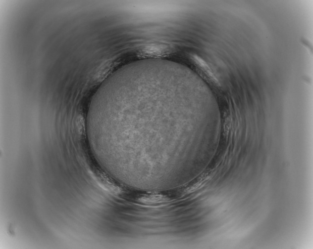 X0000096220459200802011347