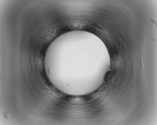 X0000096220460200802011347