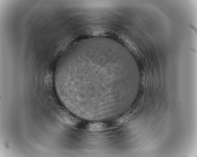 X0000096220461200802011347