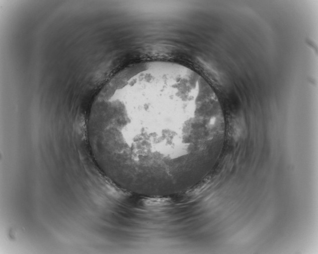 X0000096220465200802011347