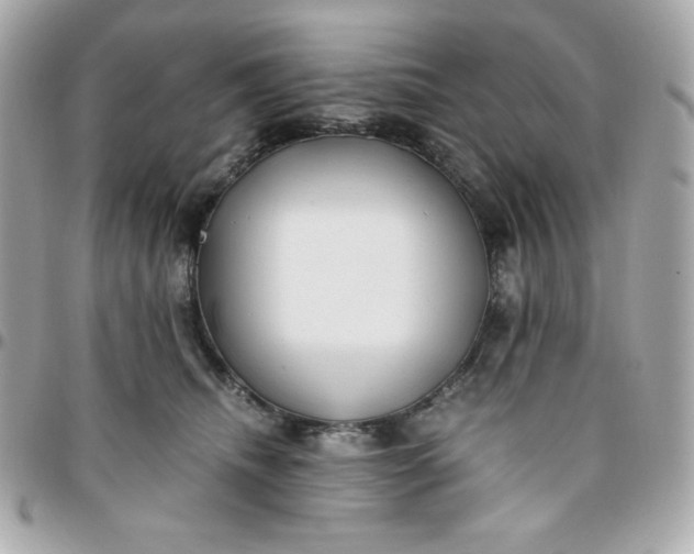 X0000096220468200802011347