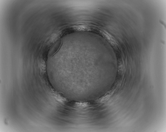 X0000096220469200802011347