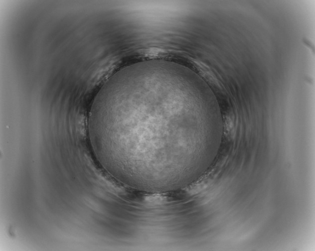 X0000096220470200802011347